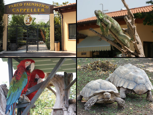 Animal park Cappeller in Cartigliano