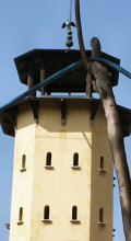 Homing pigeons (colombara) on the way up to Monte Berico