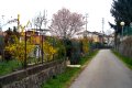 Bike path behind guest house