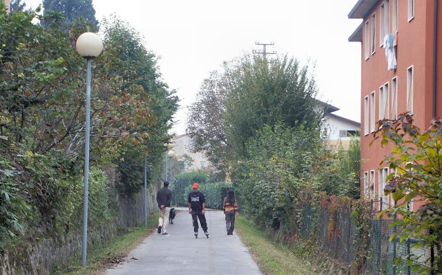 Bike path behind the guesthouse